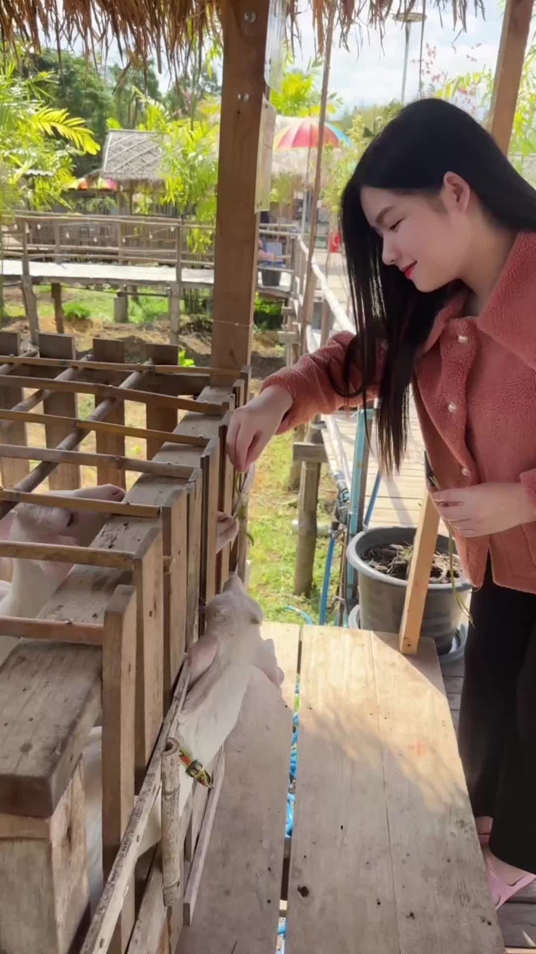 @Aomam 🐳👑