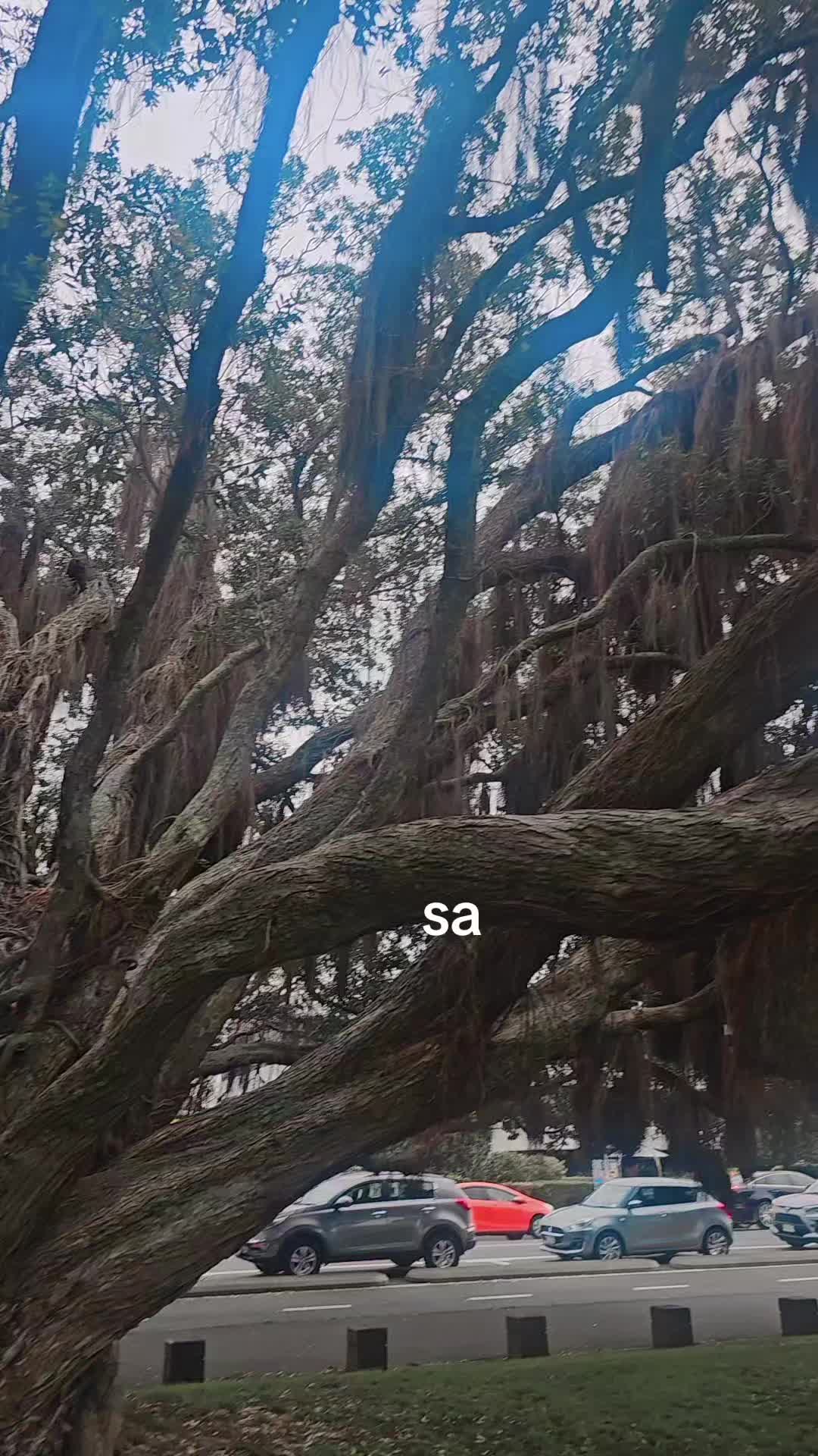 @simply_shavvy