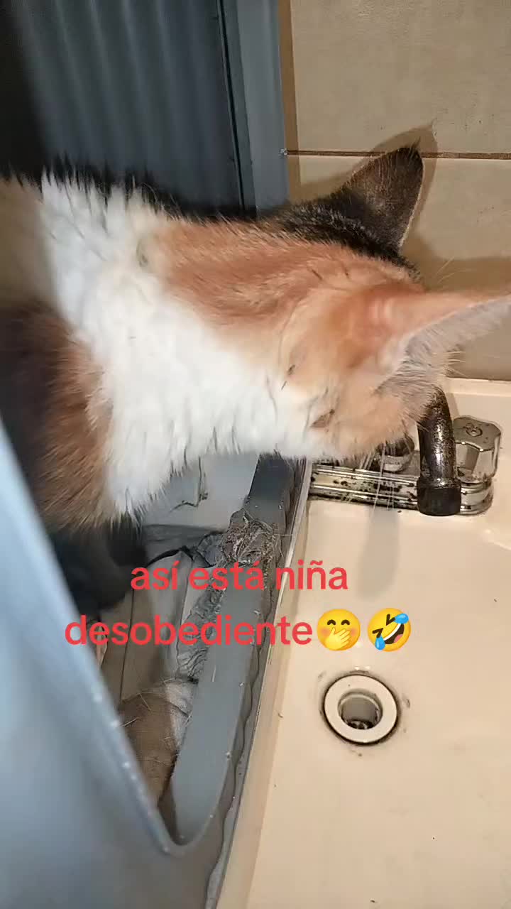 @Silvanna Lafontaynne