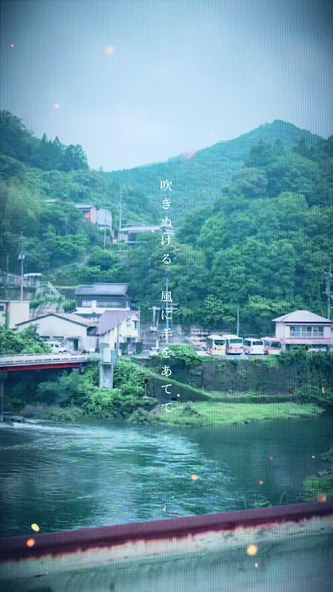 @柚子🍊