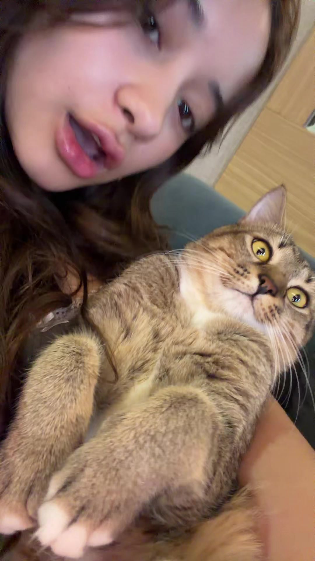@beetami