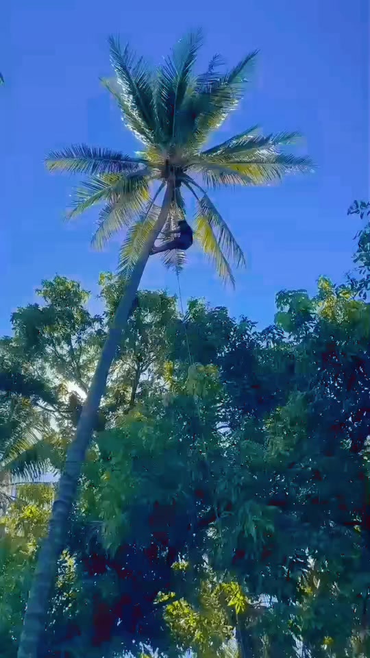 @🌴Alessandra martinez 🌴