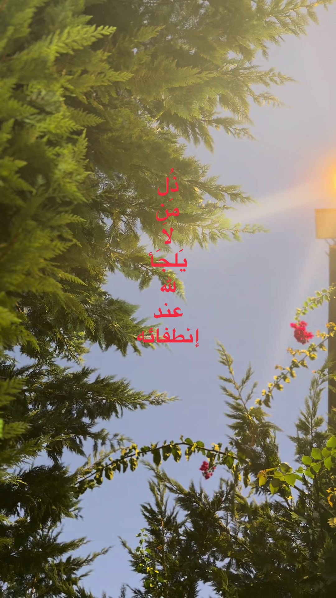@جـ𓍯ود🦢✨