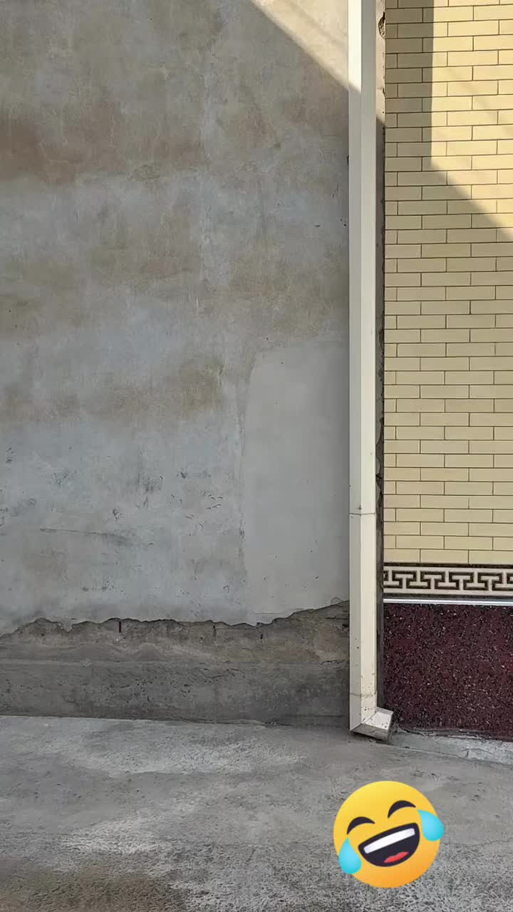 @✧ 🇺🇸 𝑵𝒆𝒍𝒍𝒚 🇺🇸 ✧