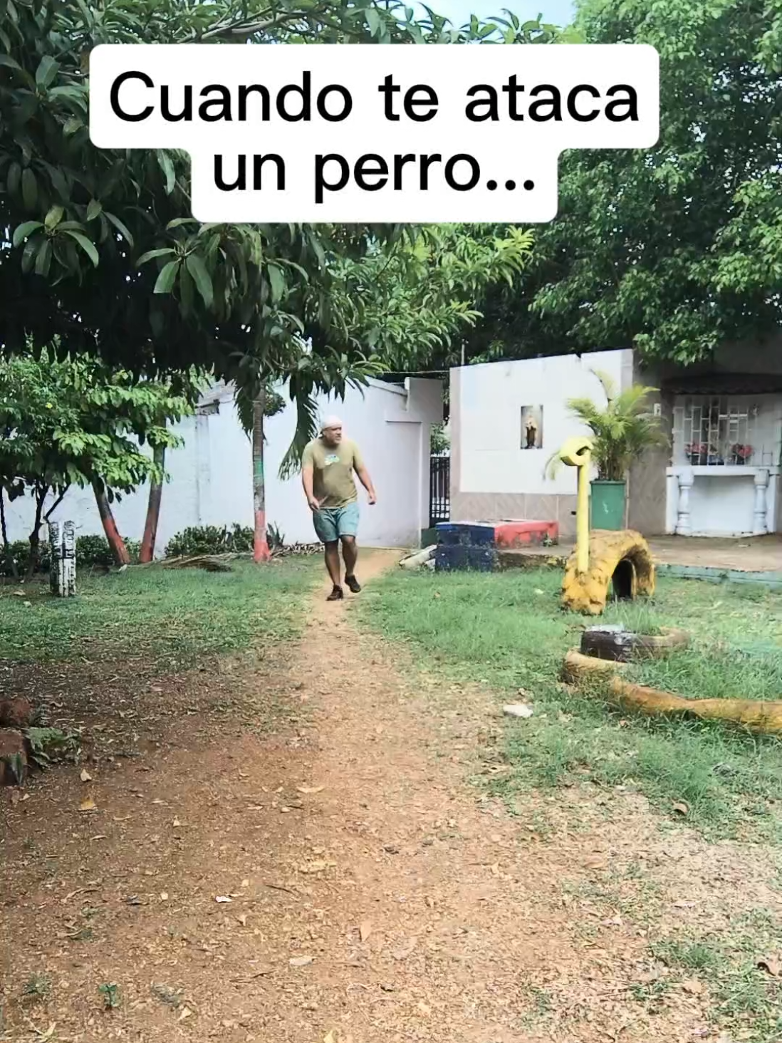 @Ortega Humor