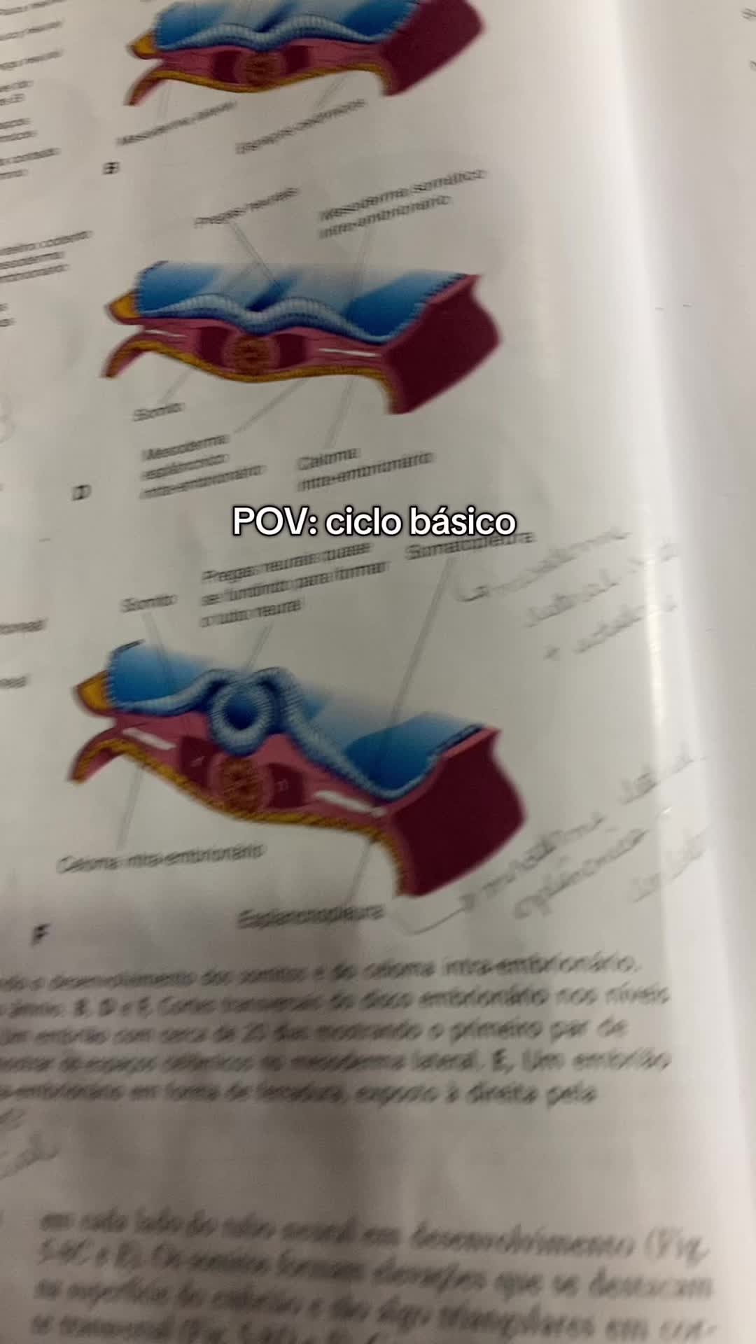 @João Pedro | Medicina