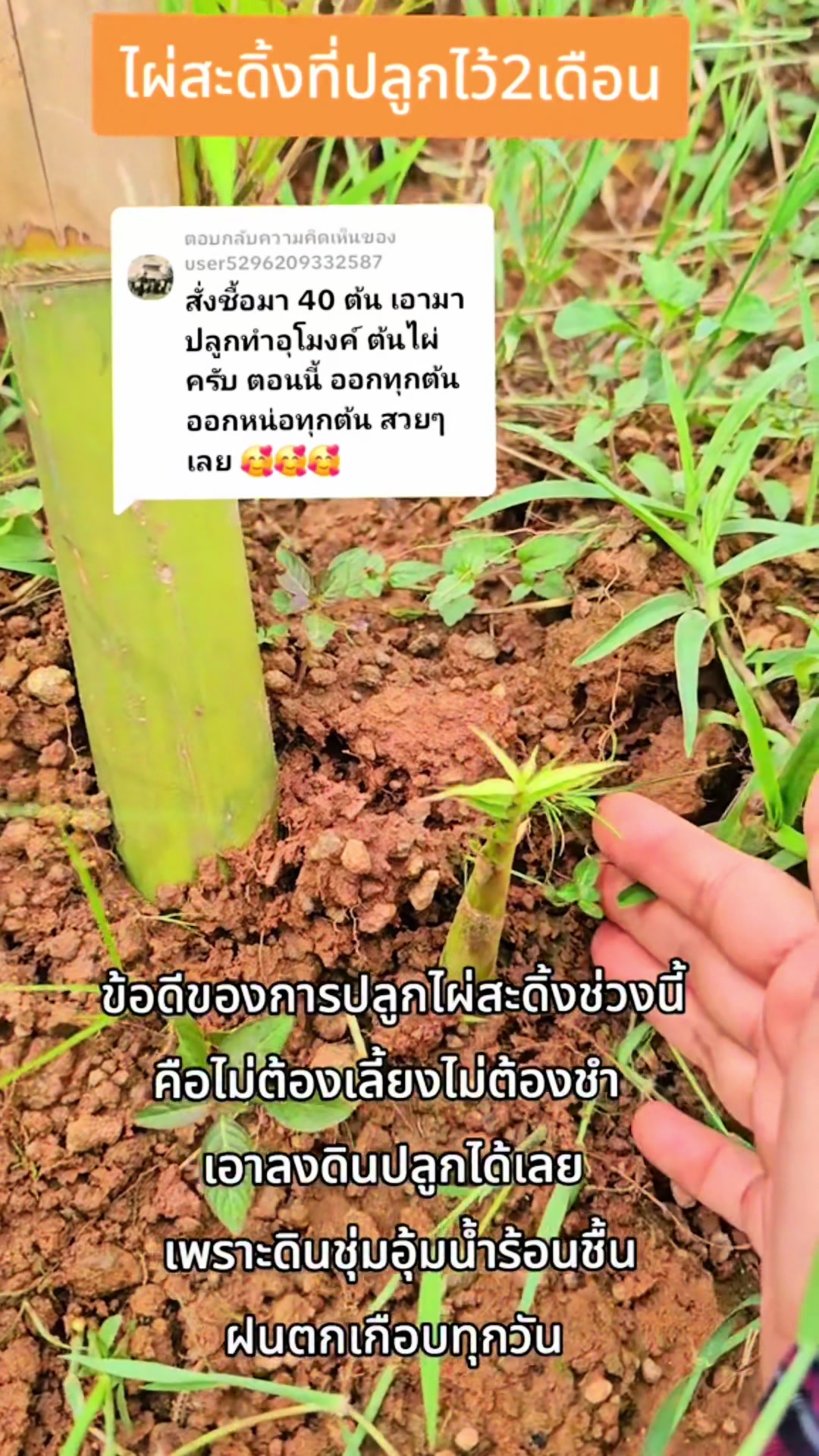 @นัดดาชอป
