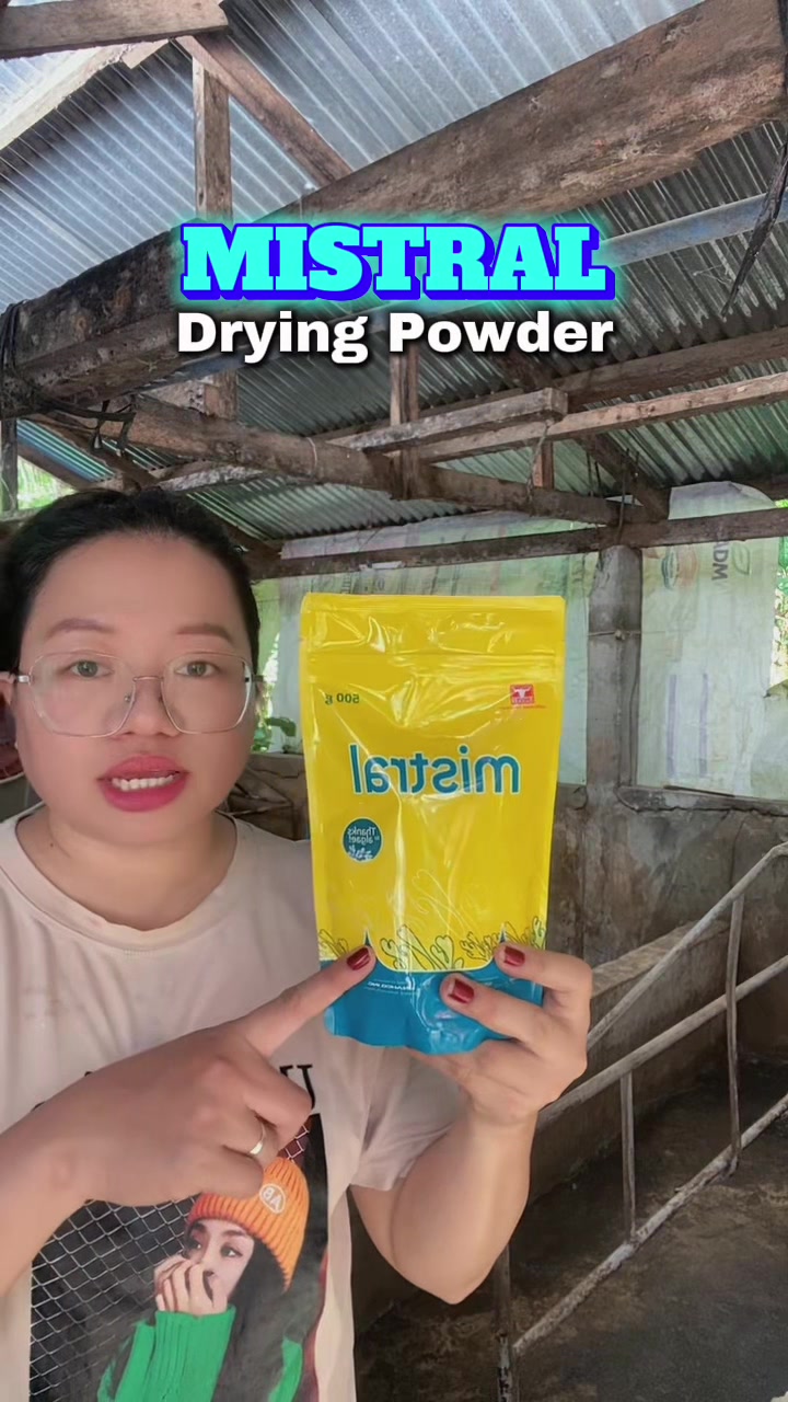 @Marj Pig Farm Vlogs