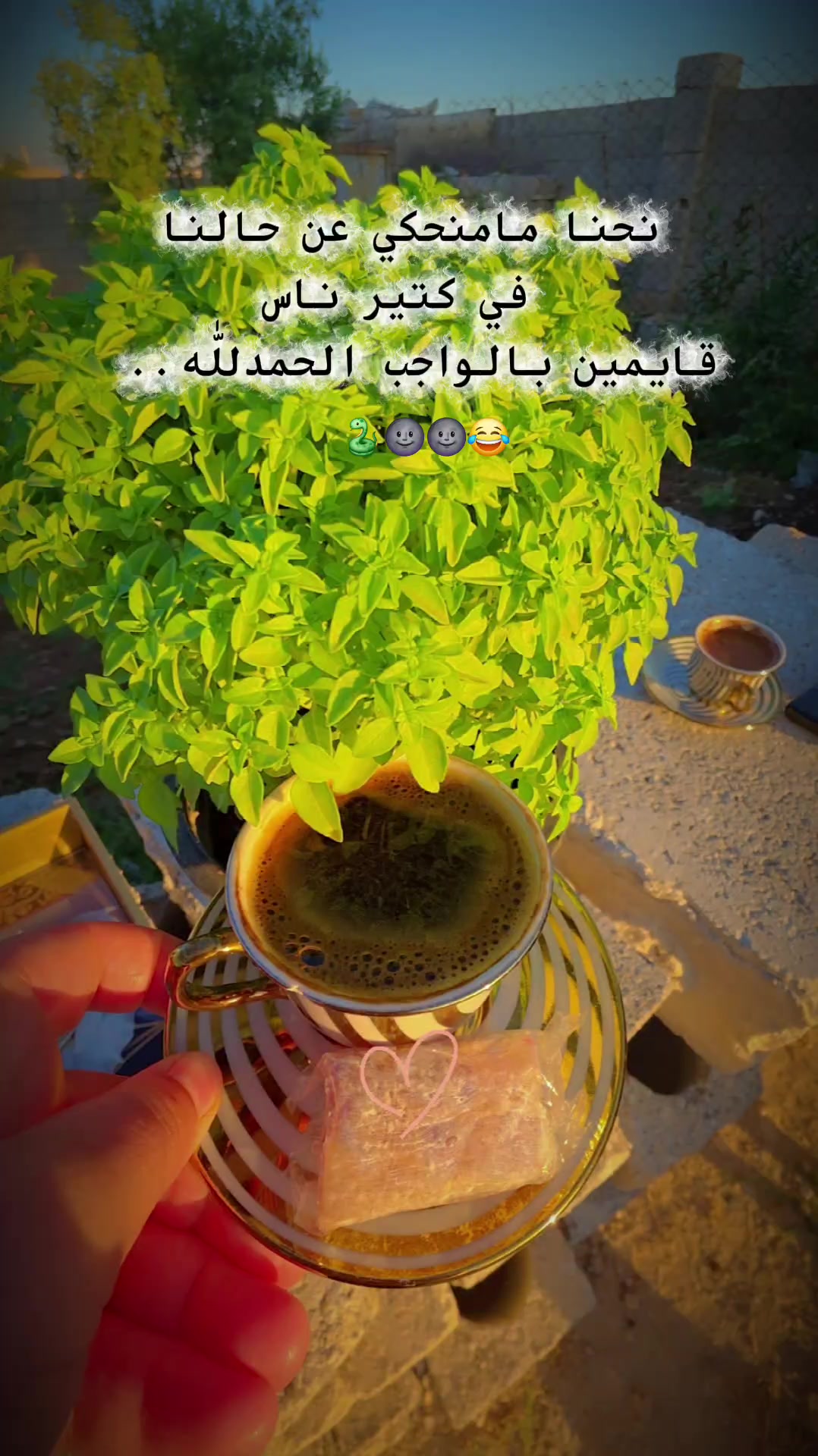 @ريــ💋تۣۗہآجۣۗہ❤️👑💫