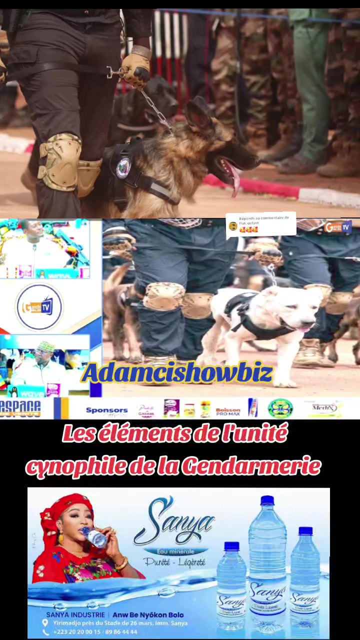 @Adama Hamidou Ciss&eacute;