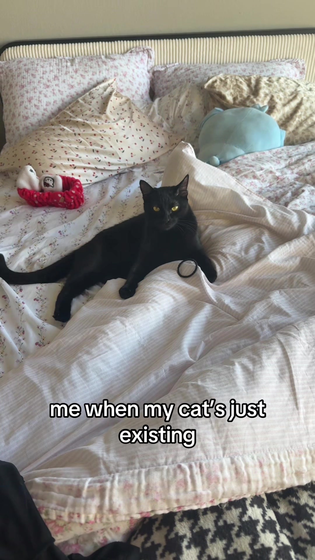 @kylaaaa🐈⬛🖤