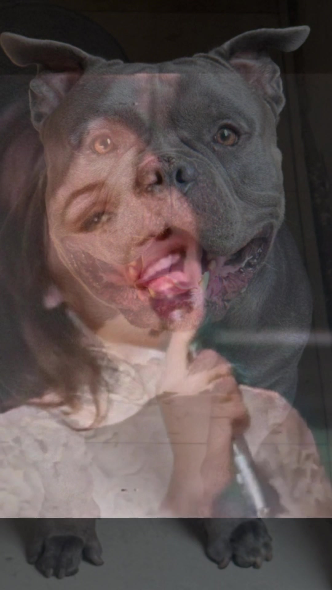 @Sadiytolo 🐶❤️