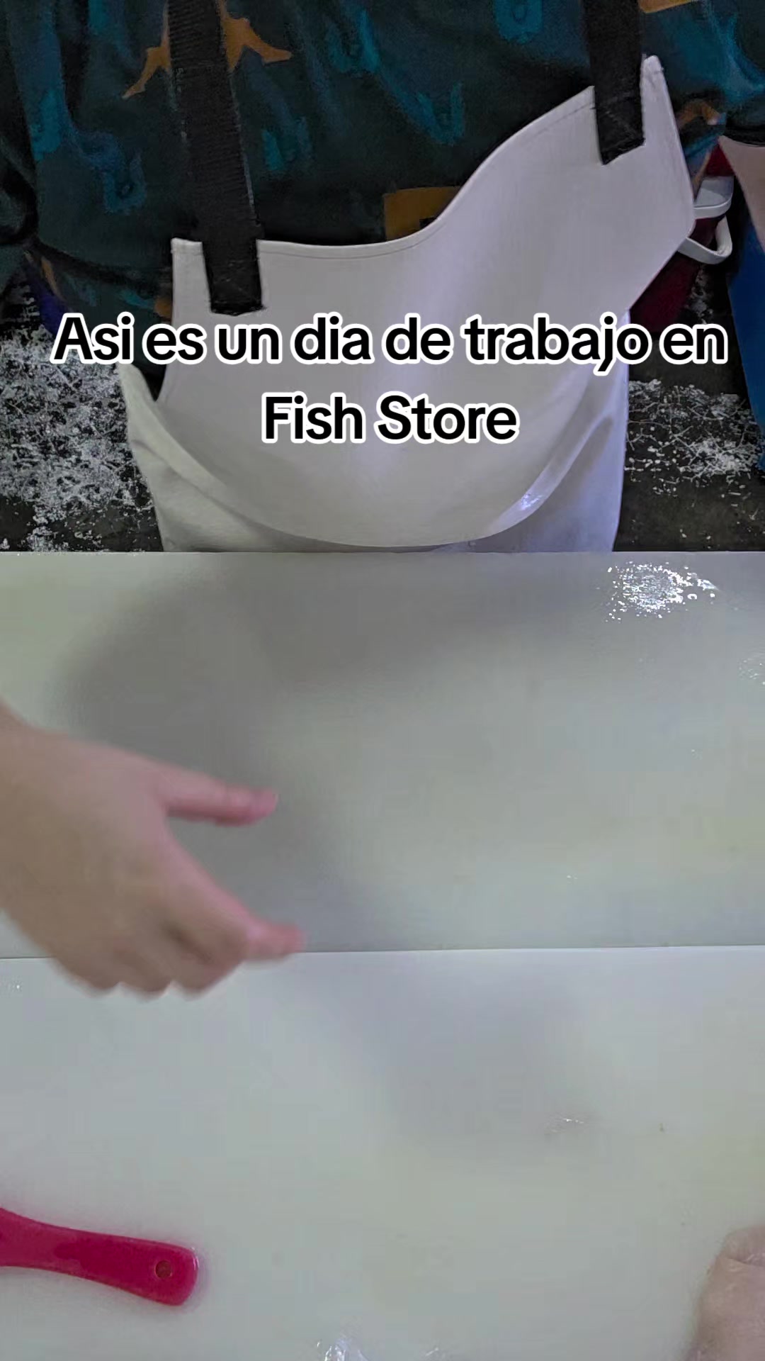 @Fish Store