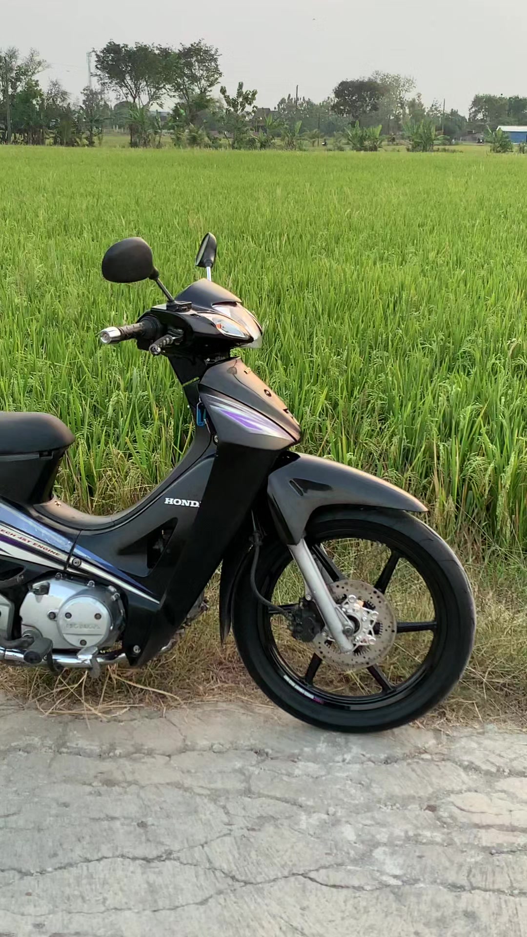 @𝗽𝗮𝗹𝗹