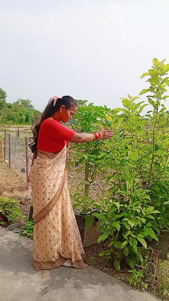 @Shruti_Kunwar