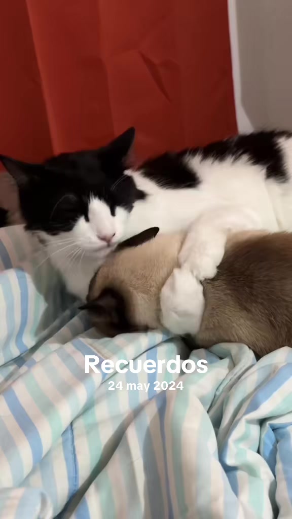 @María Betania