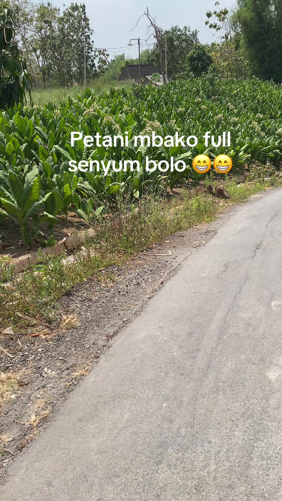 @Anake MakdeTi