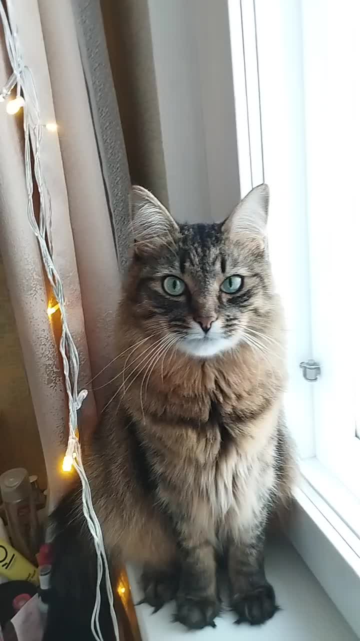 @Марсик😺💖