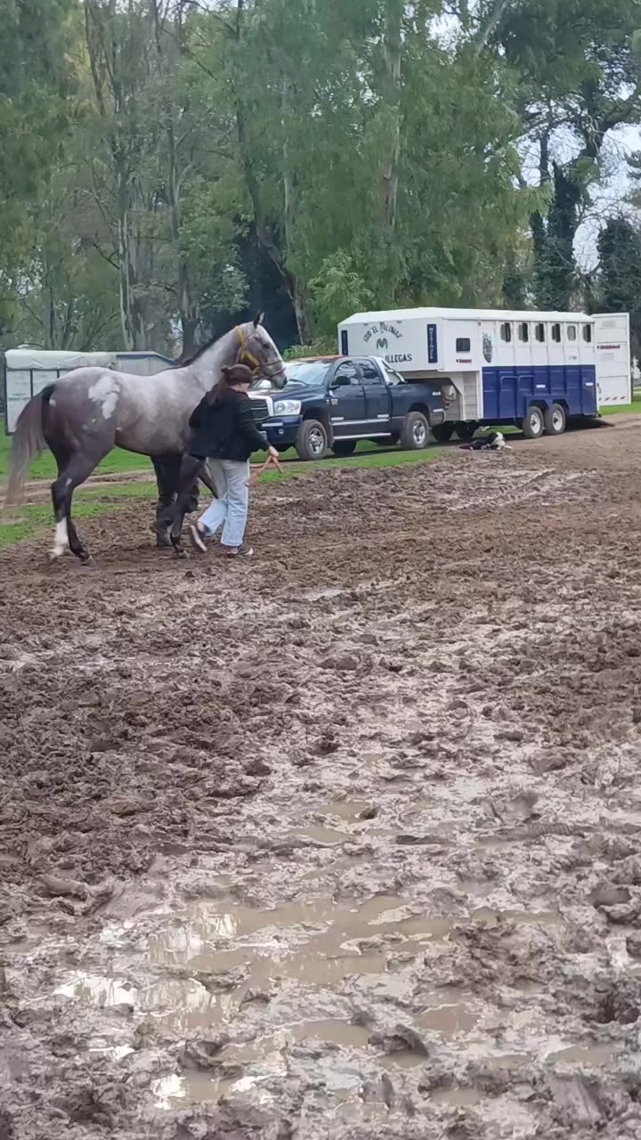 @Soledad Gigena 🏇♥️