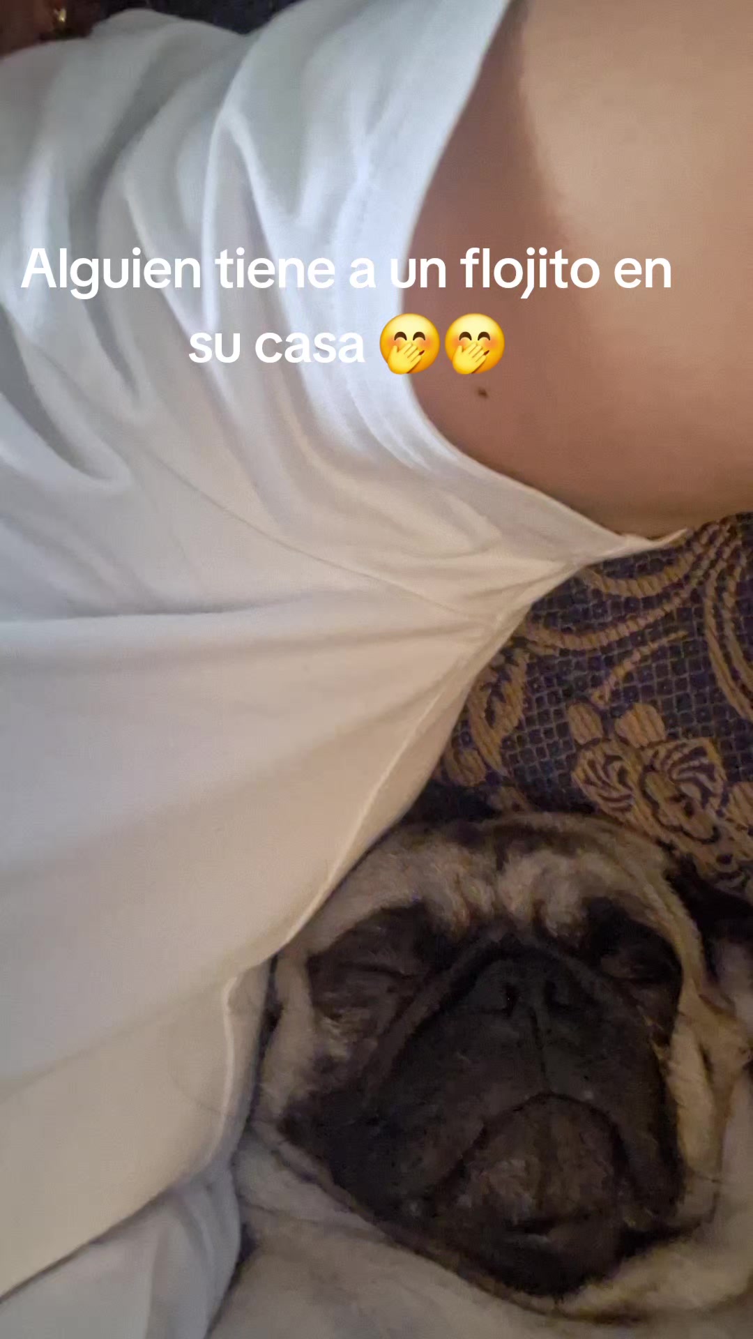 @elviira P.A