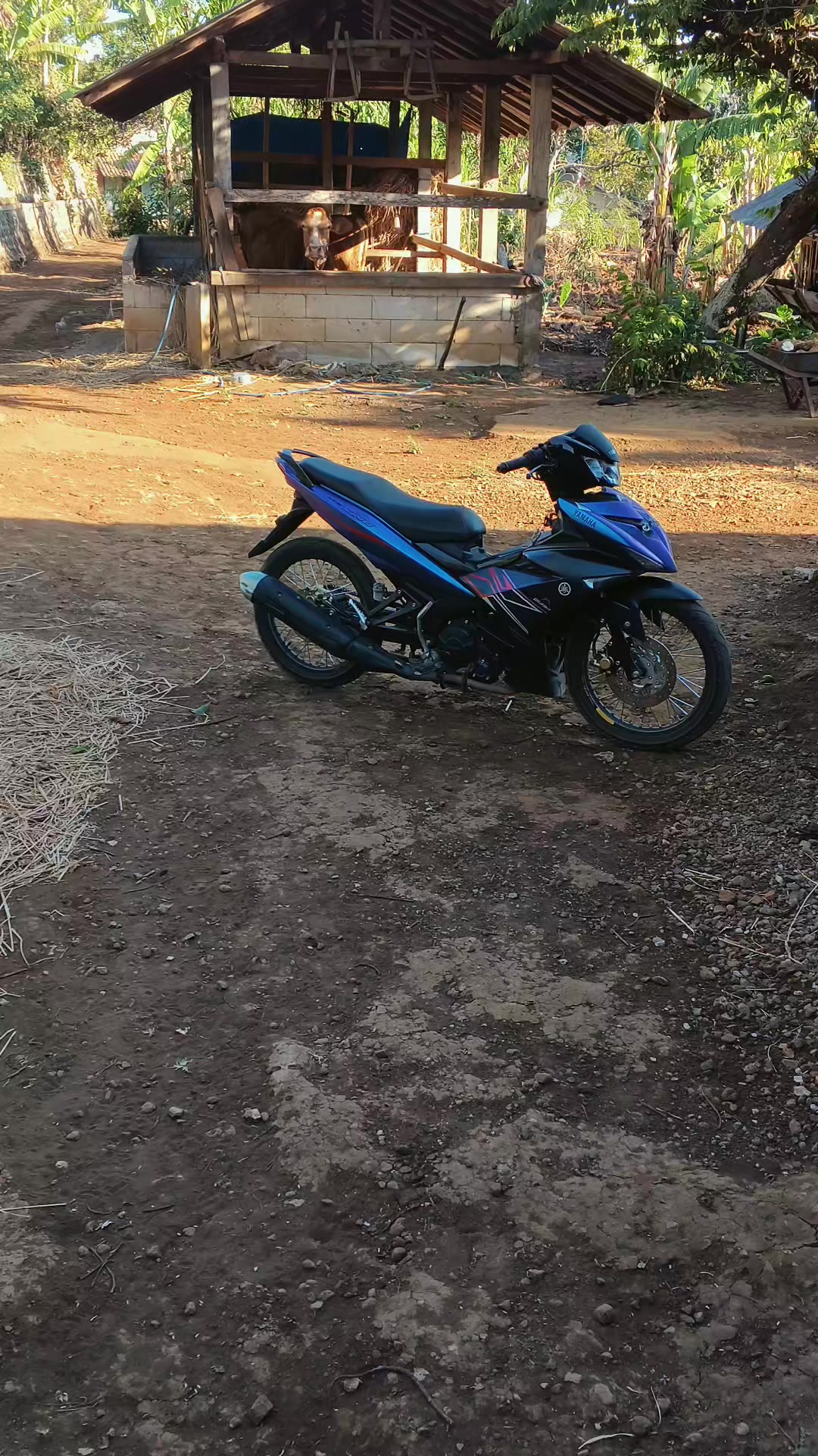@kalahsakkabehe
