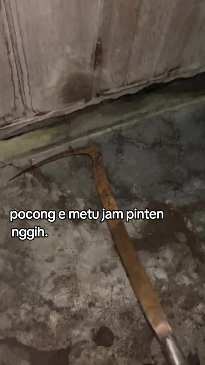 @D4nzz_