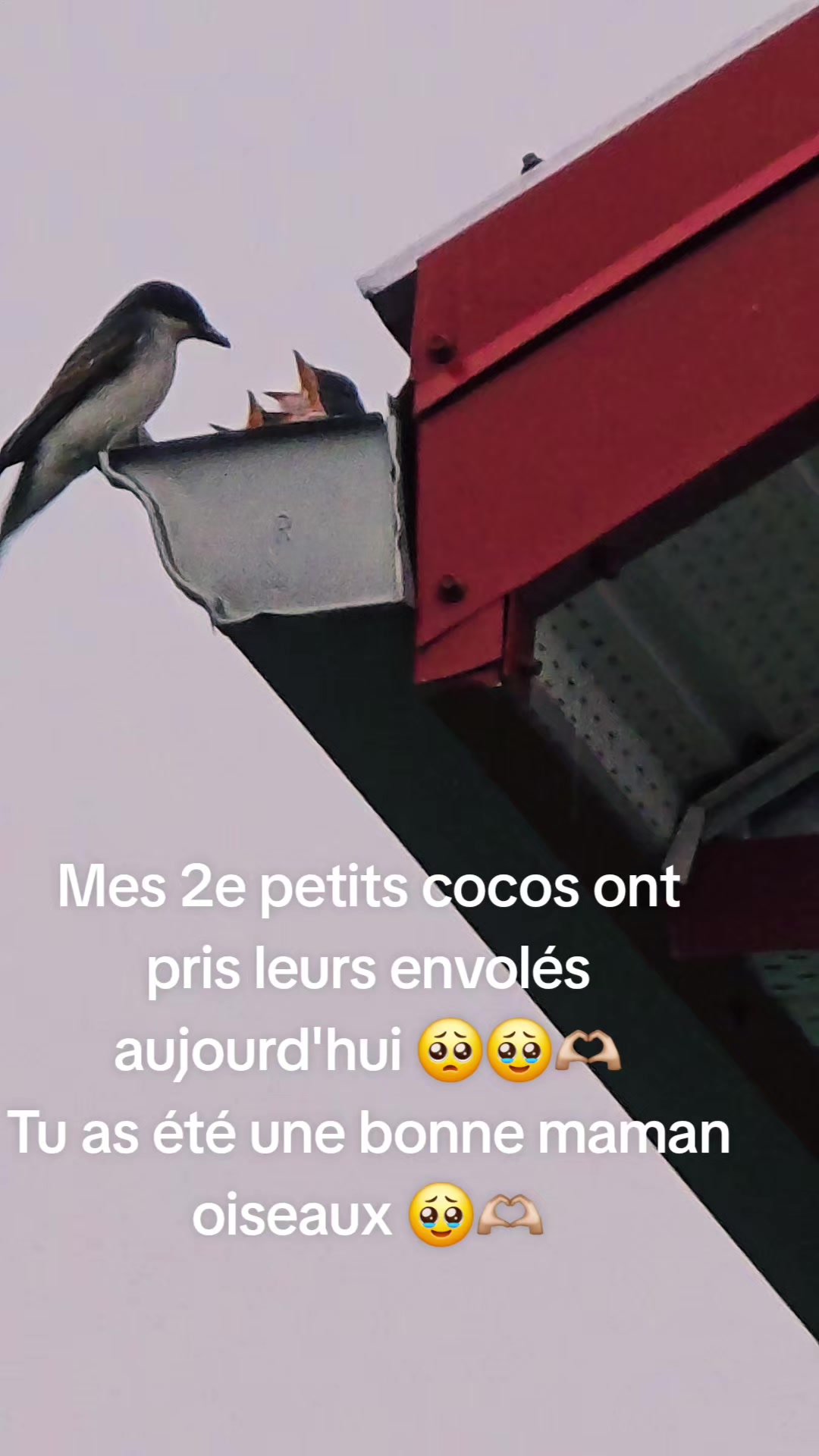@La Redneck du Québec 🤠🤟🏻🥰