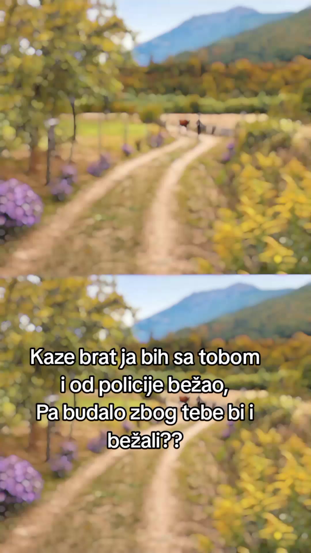 @klavijaturista