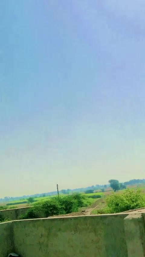 @kotwal brand