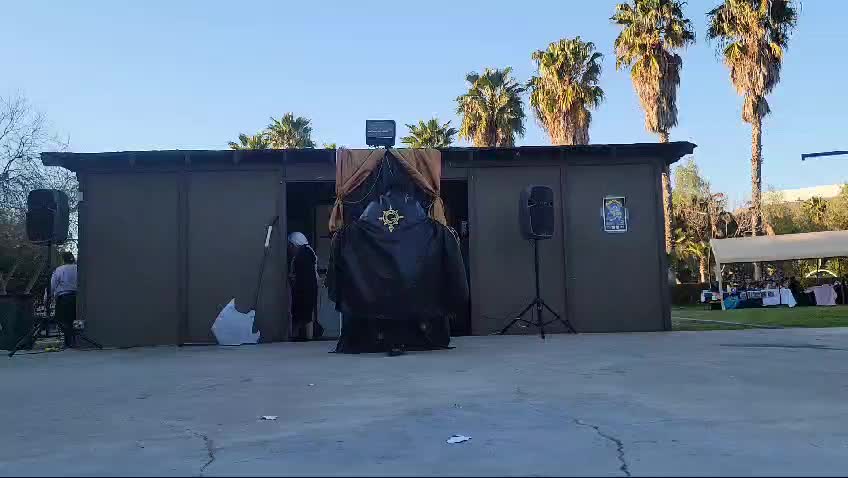 @korviz wolf