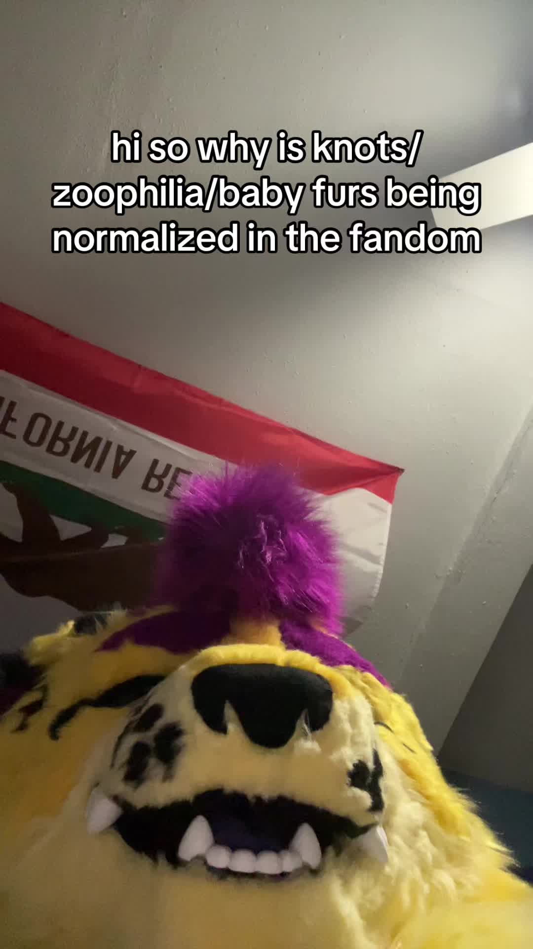 @Wolfyy!! ‼️‼️