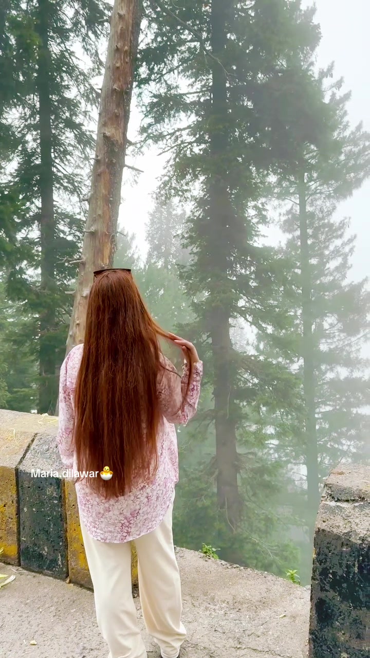 @MariaDilawar🐣
