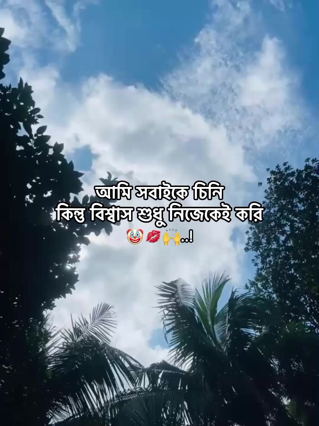 @⁷𝐇𝐚𝐦𝐢𝐝𝐚◡🧃