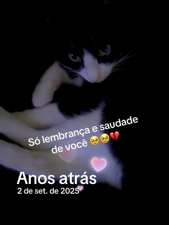 @Silvia Costa🙏❤️🚛