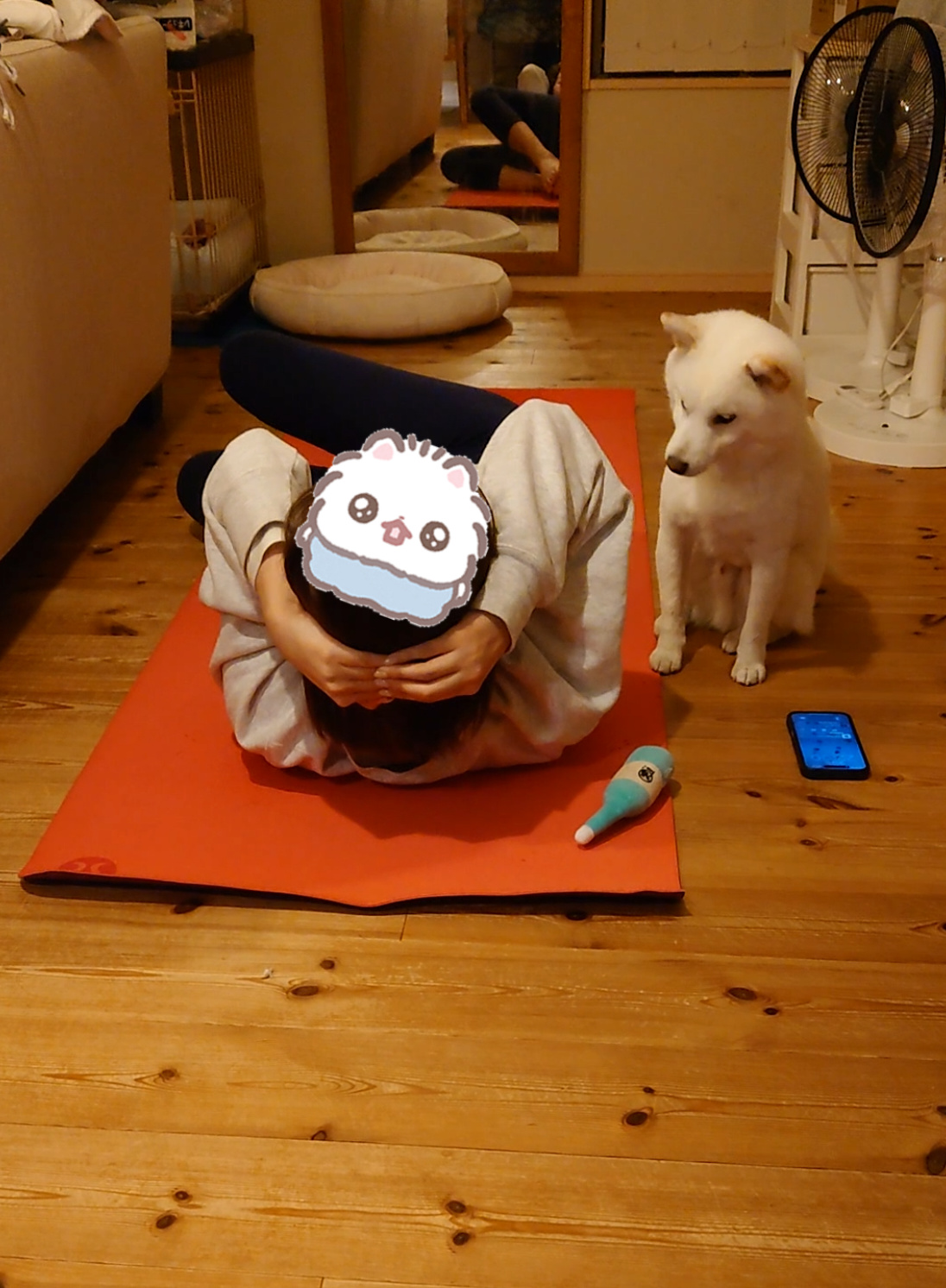 @Mochimaru