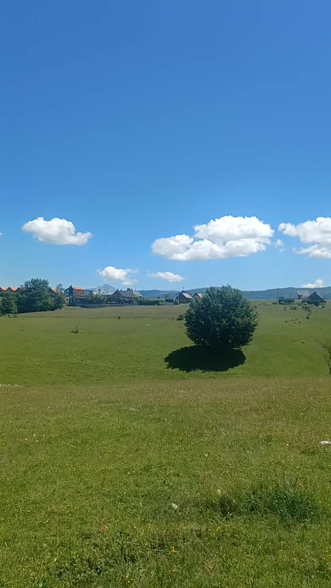 @Ferizaj