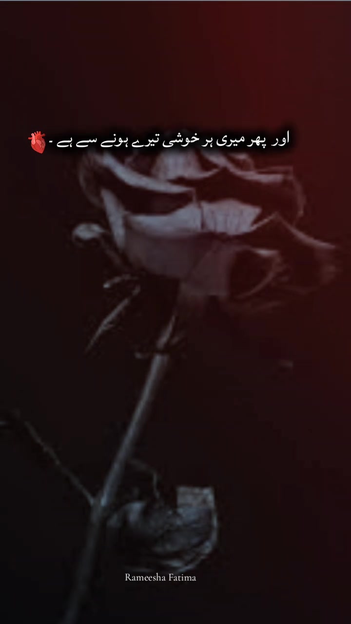@Rameesha Fatima