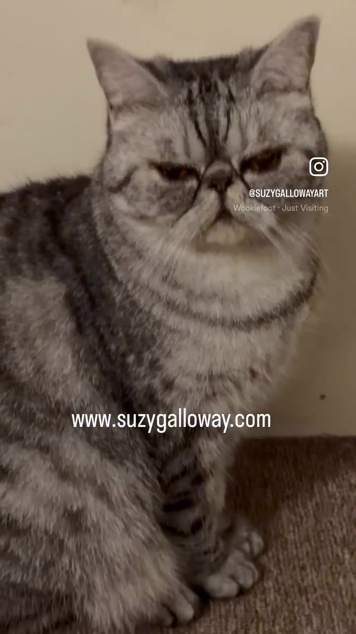 @SuzyGallowayAustralianArtist