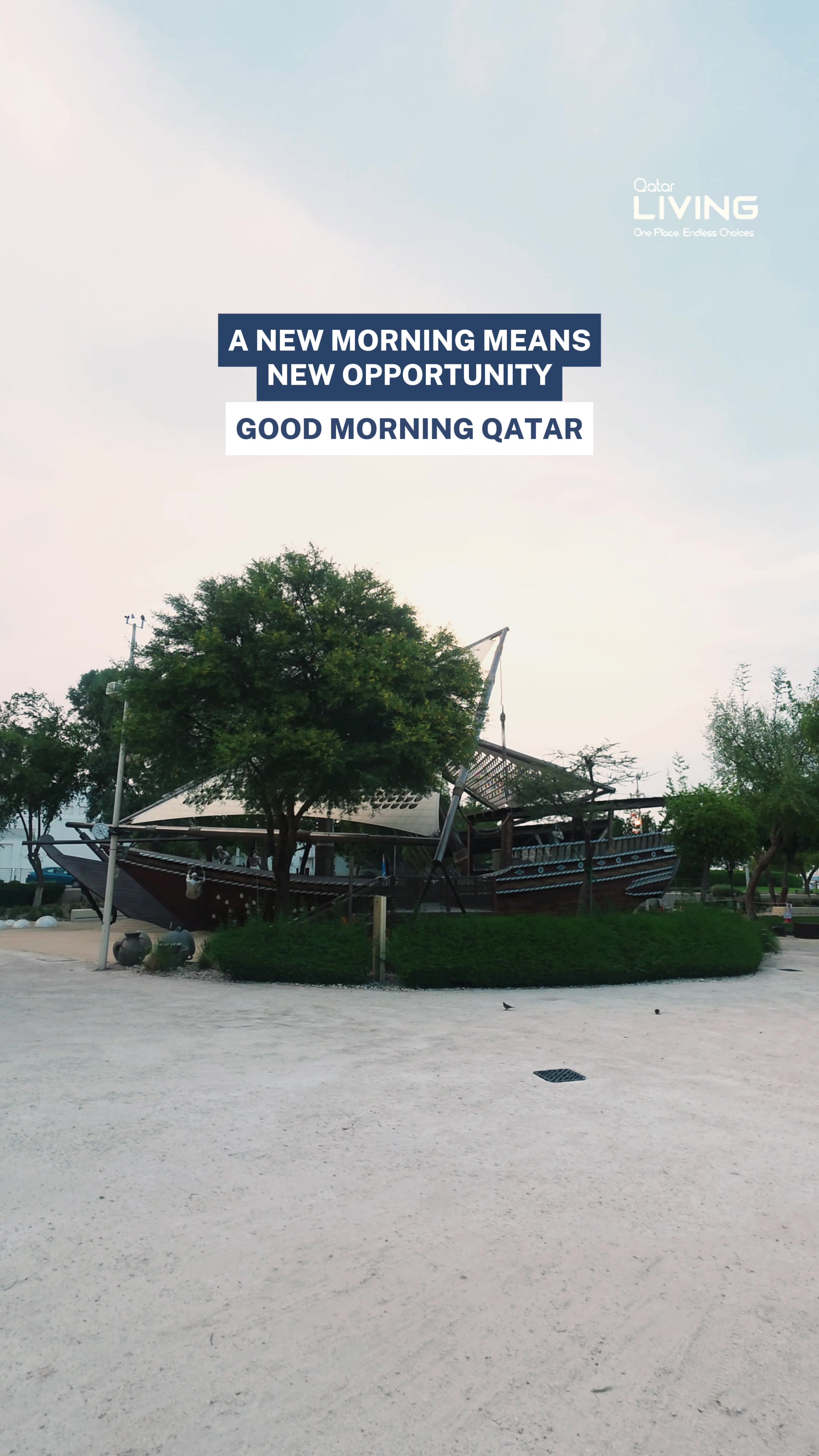 @Qatar Living