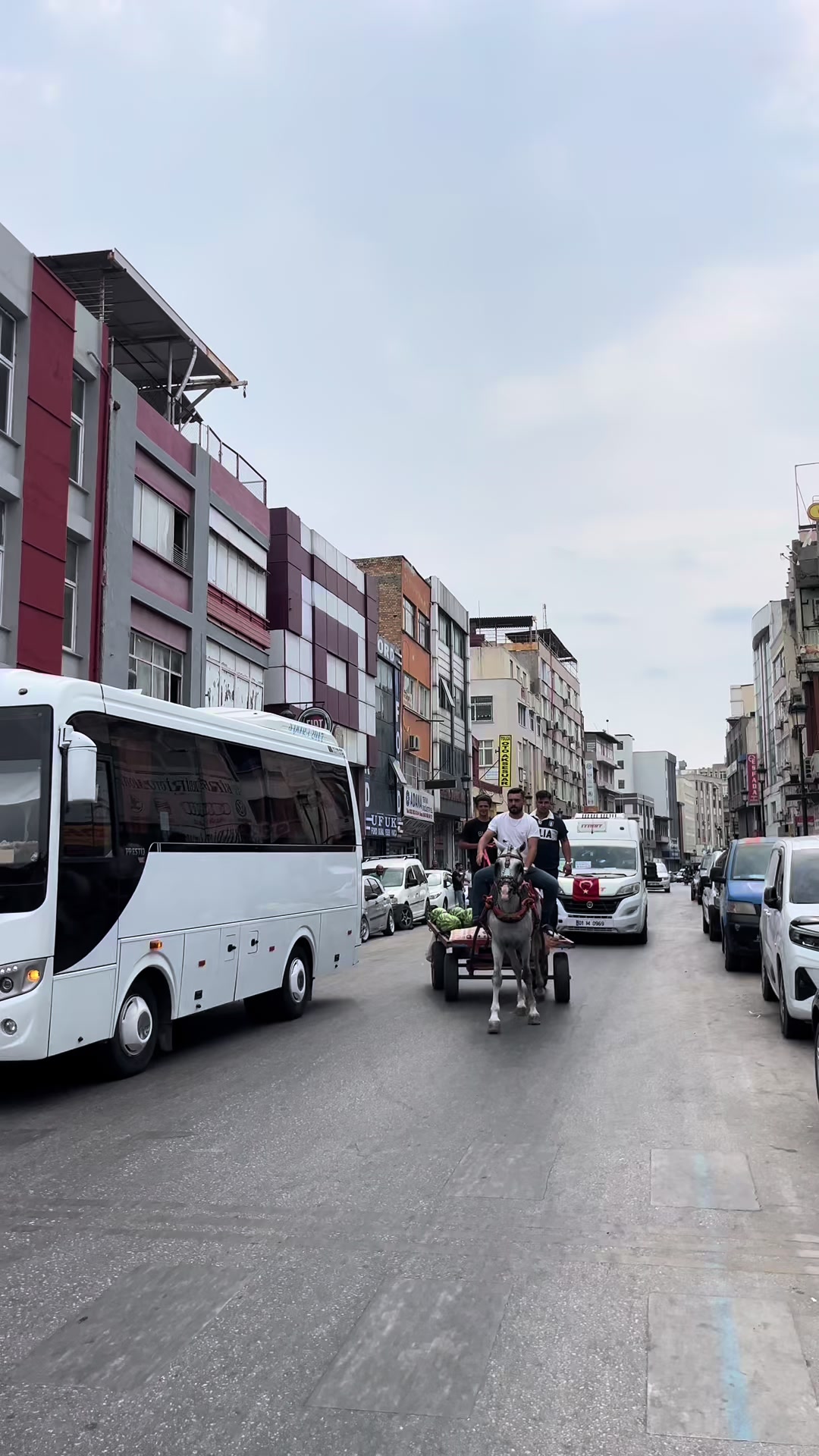 @Alp Özbay