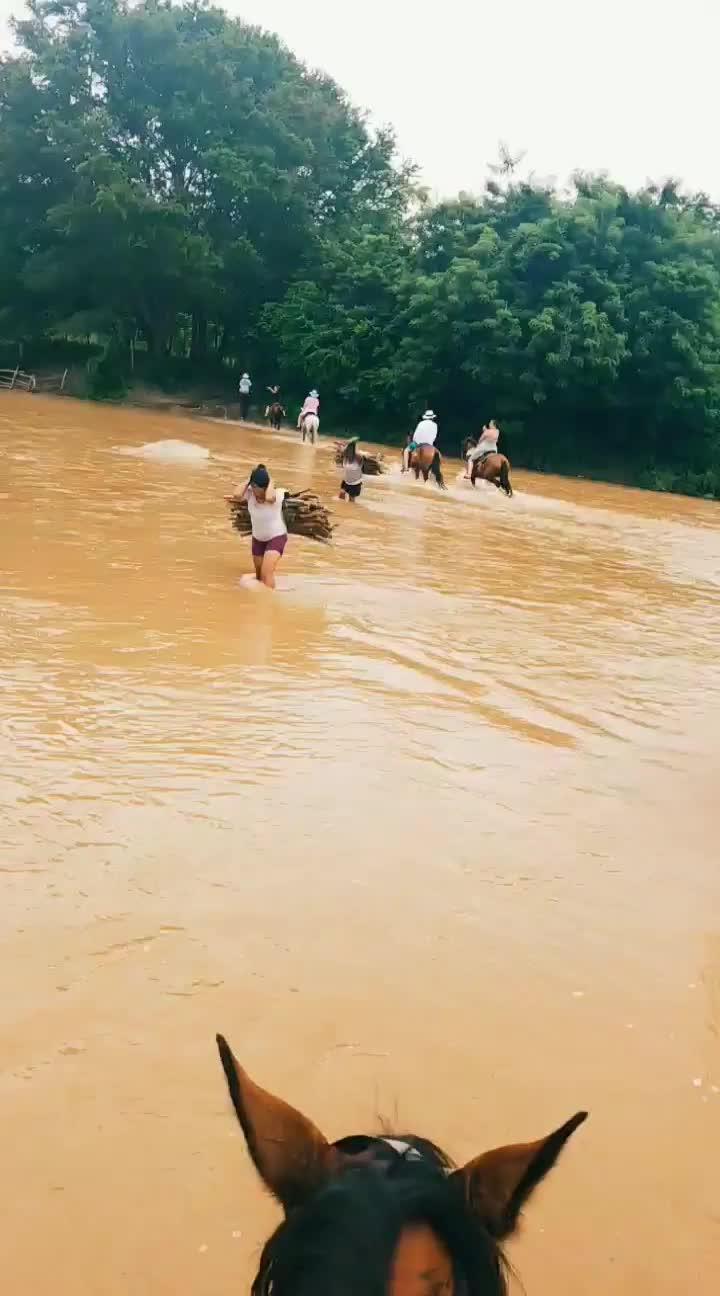 @Paradise