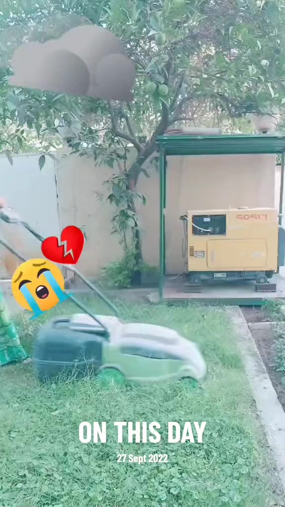 @एलिना दोङ