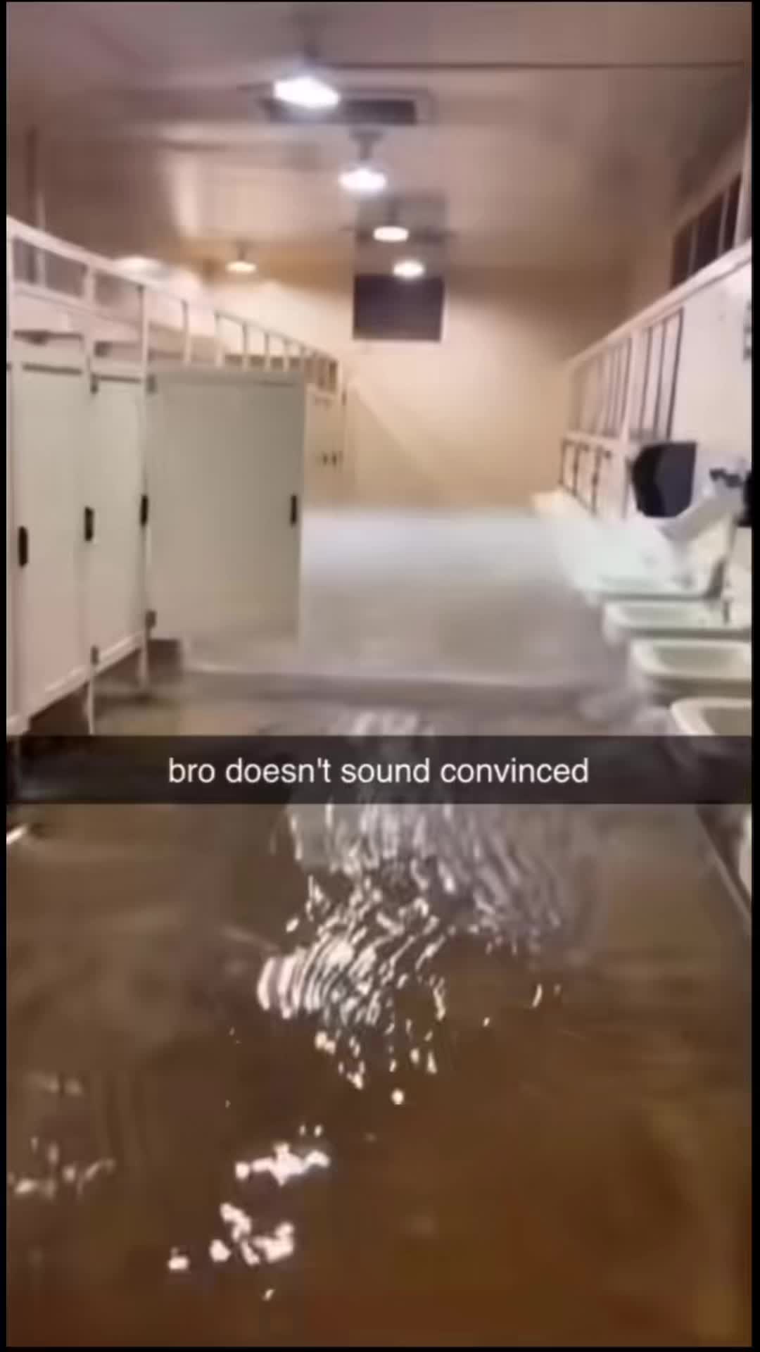 @BLASHENBERM