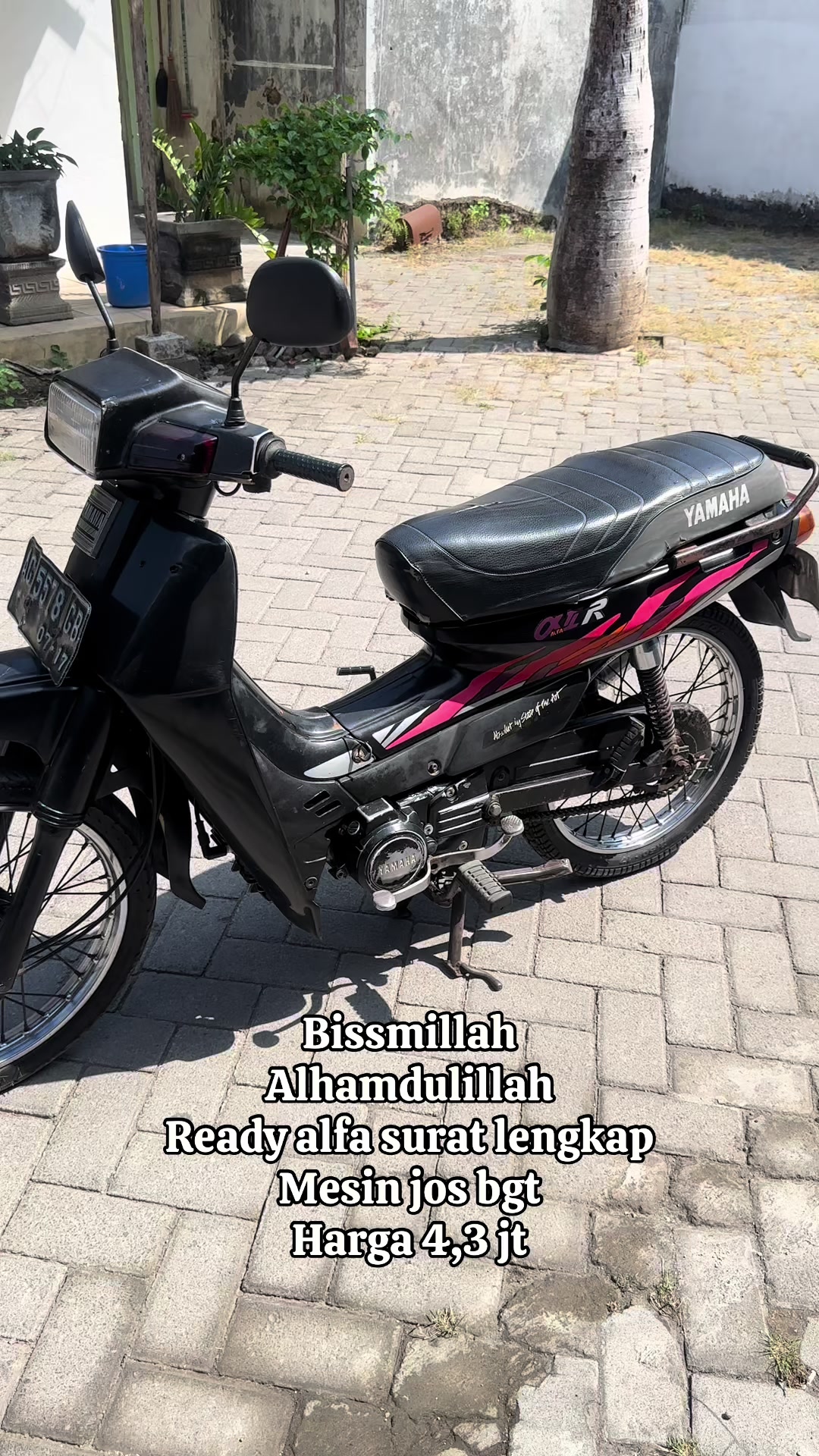@scooteristmurphys