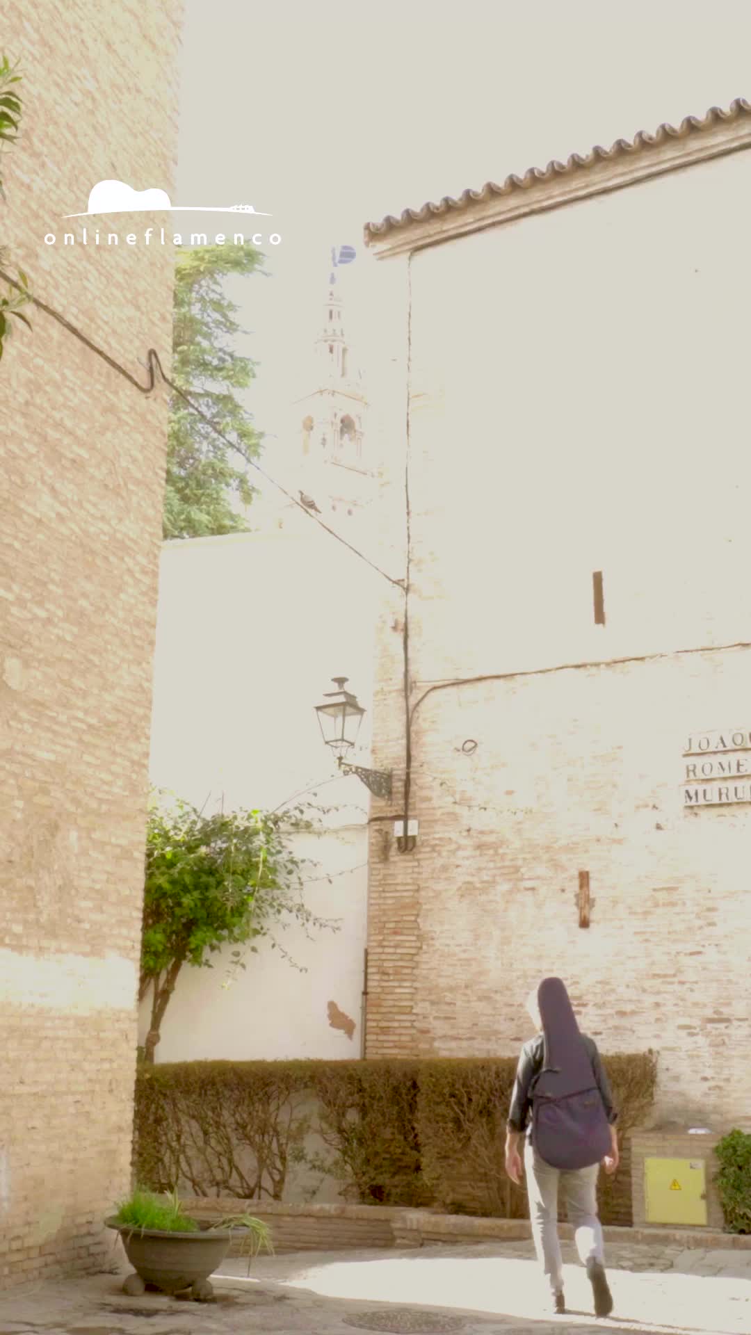 @Online Flamenco