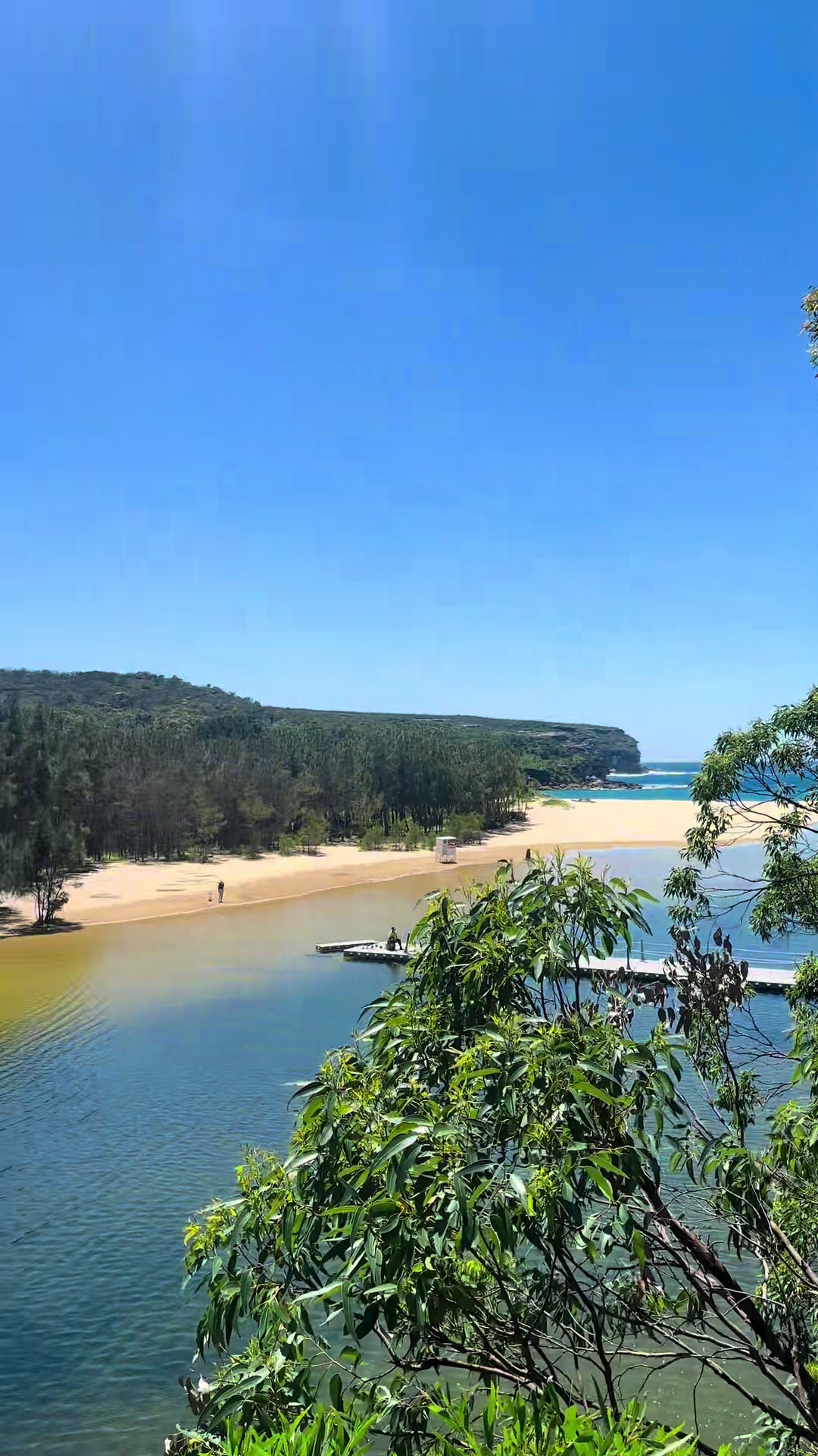 @sanjana🇦🇺