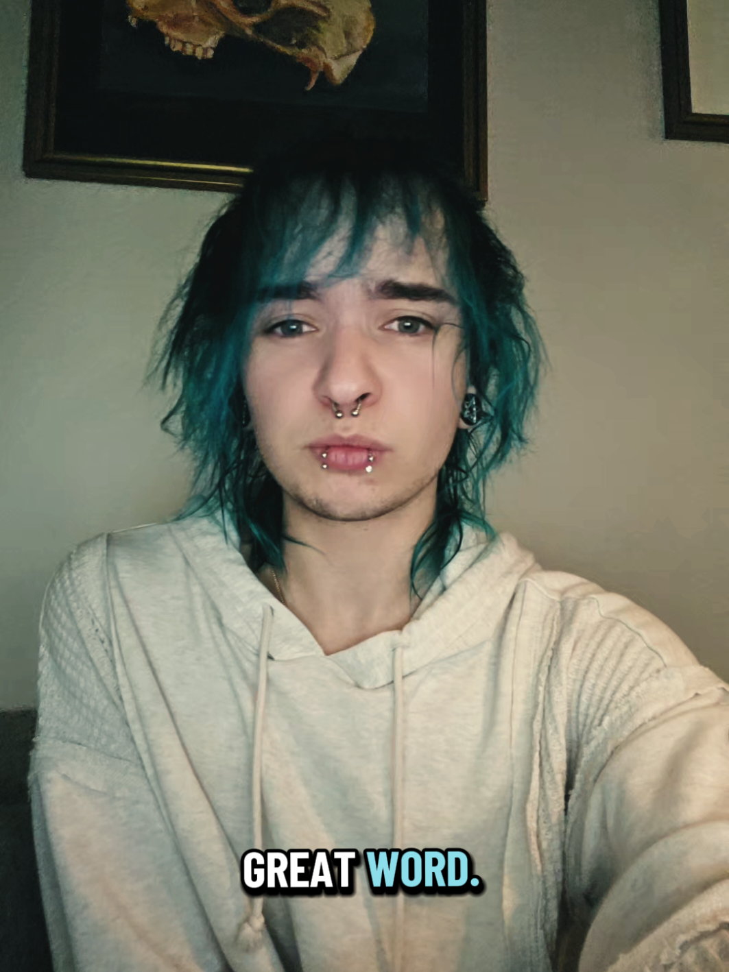 @van