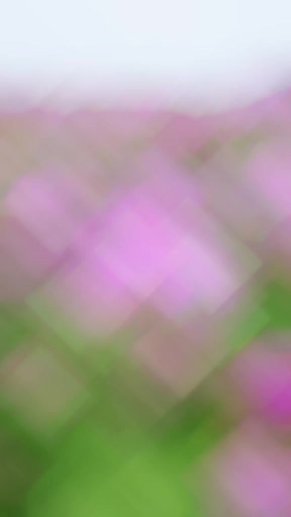 @宮尾美江