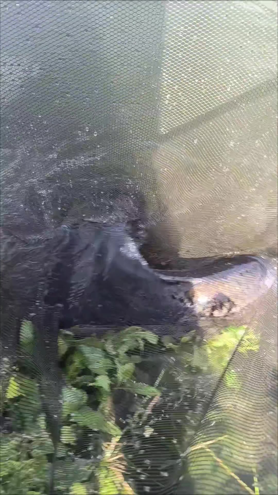 @Jocarpfishing