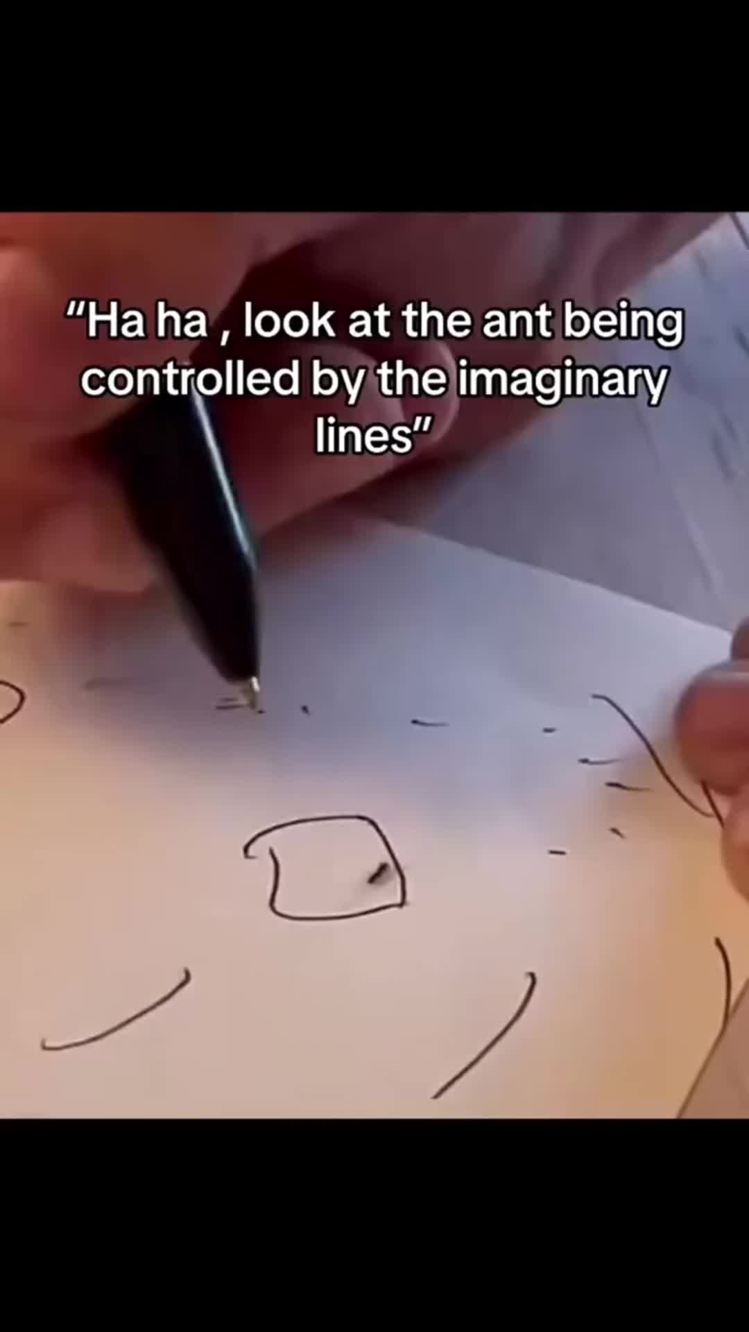 @Finance Bro